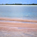 Rangiroas Pink Sand Beach 1.JPG